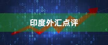 印度外汇点评