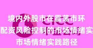 境内外股市在震荡市环境中中配资风险控制的市场情绪实践路径